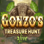 Gonzo’s Treasure Hunt